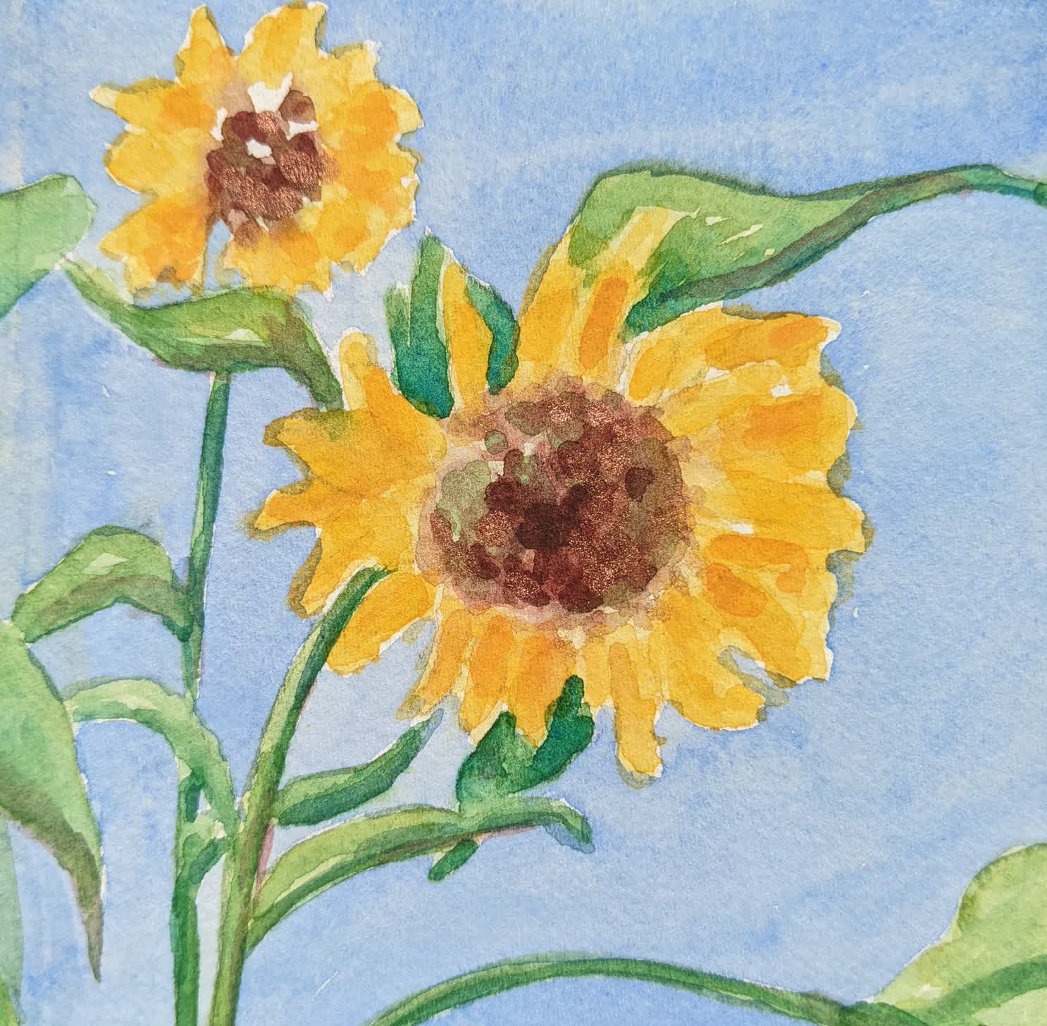 Sunflower 2