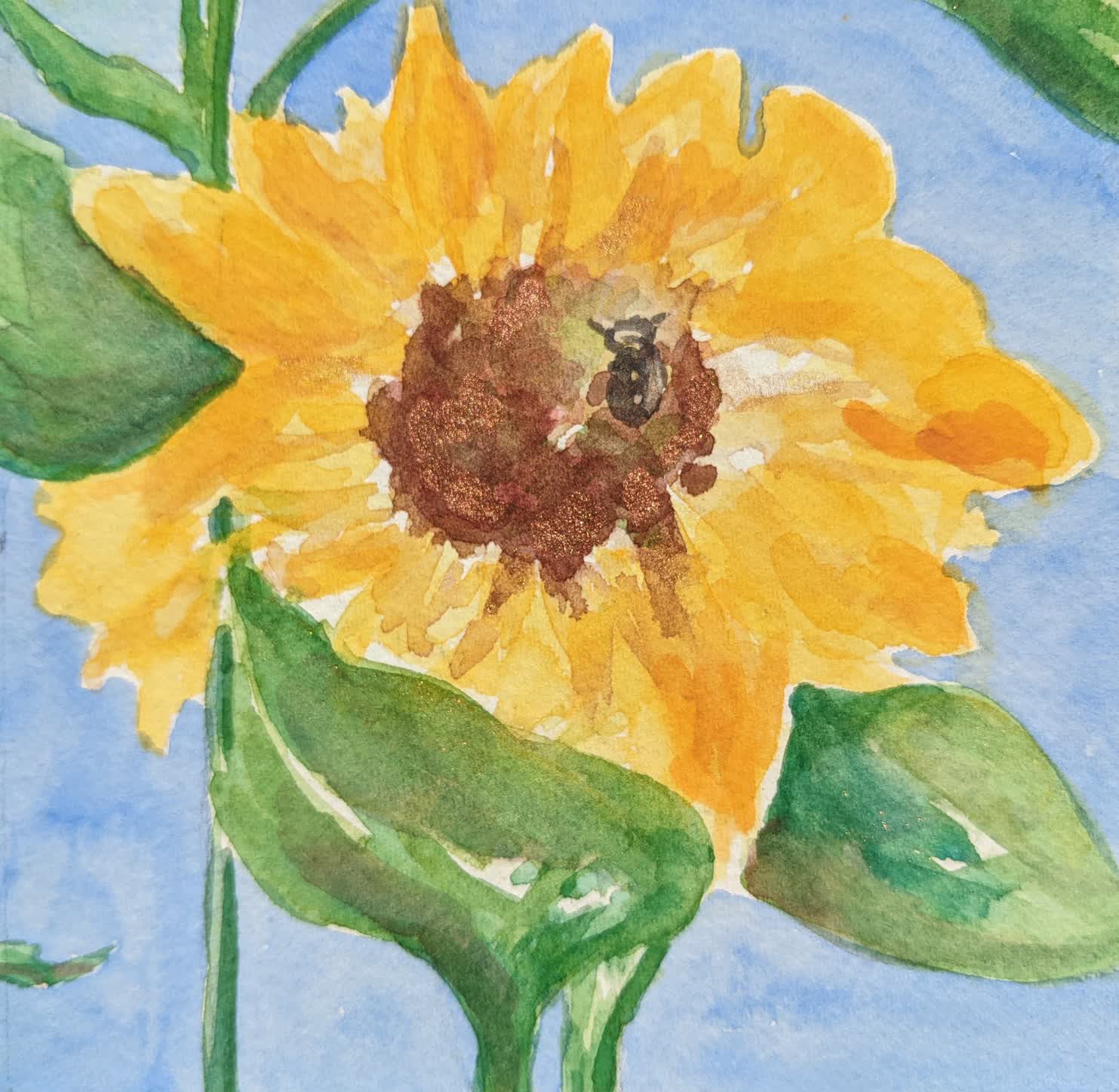 Sunflower 4