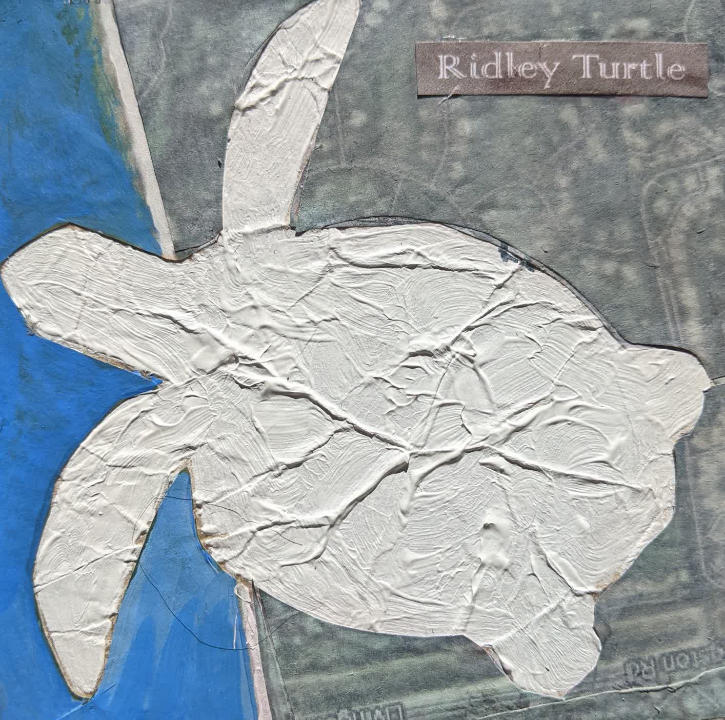 Ridley Turtle