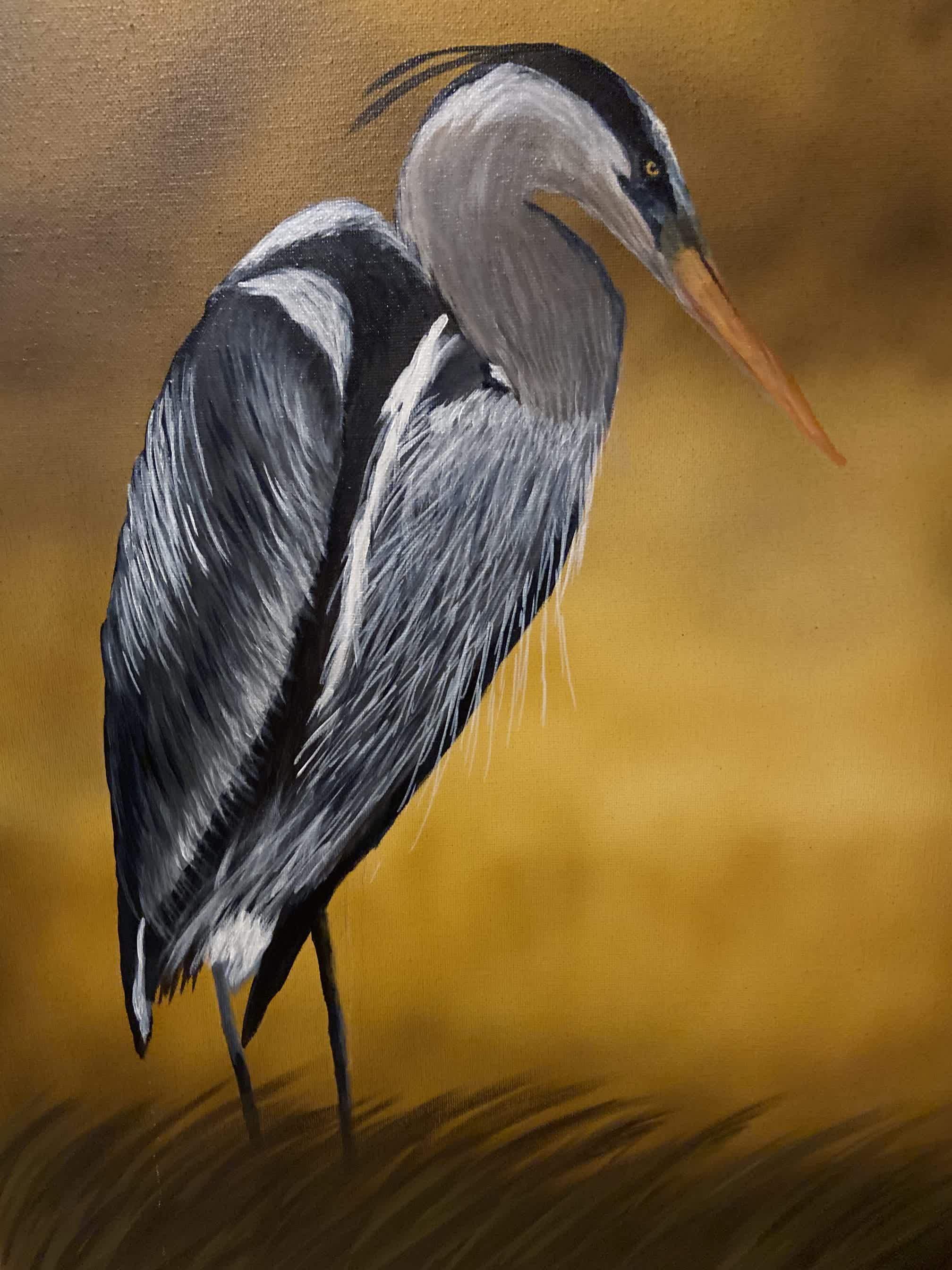 Great Blue Heron