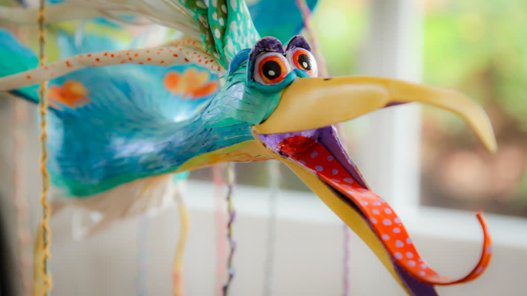 A tropical bird in Joyce's home