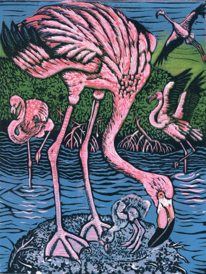 Flamingos