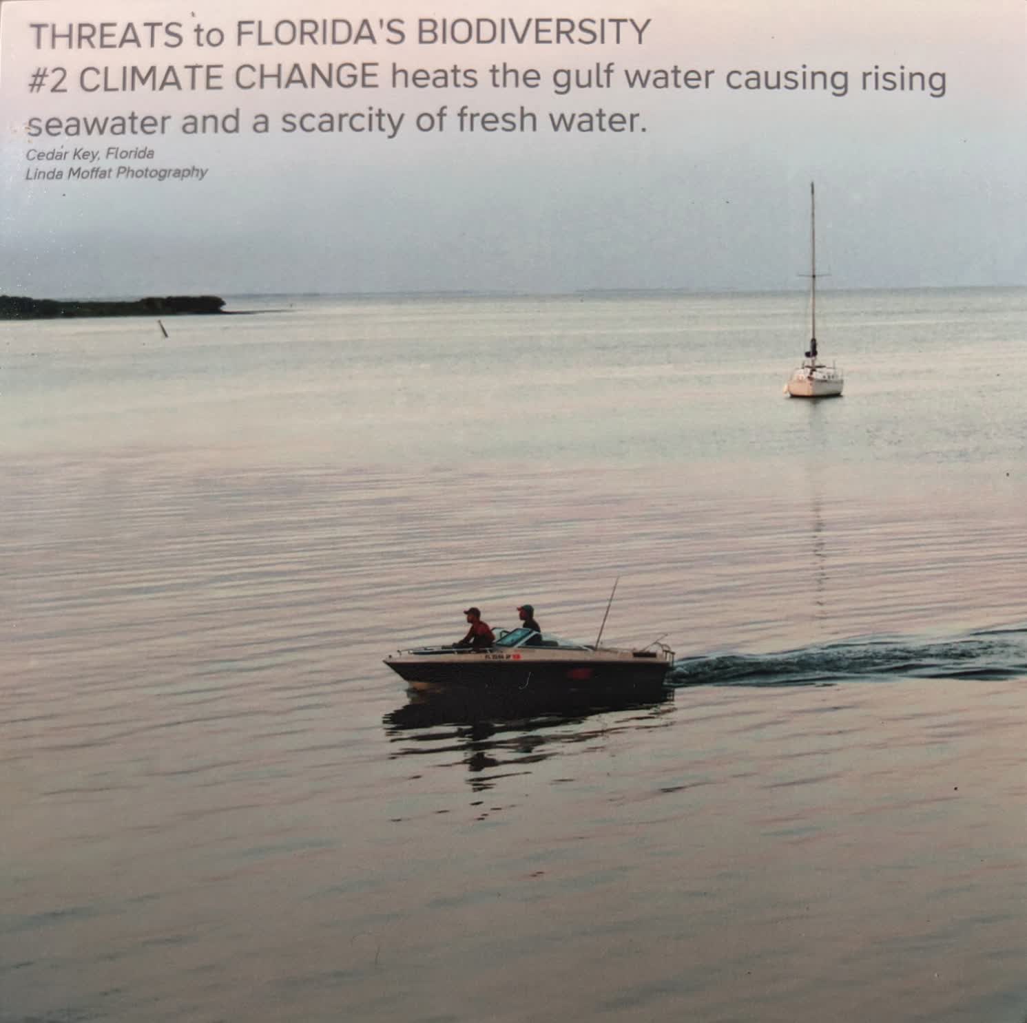 Threats to Florida's Biodiversity 2
