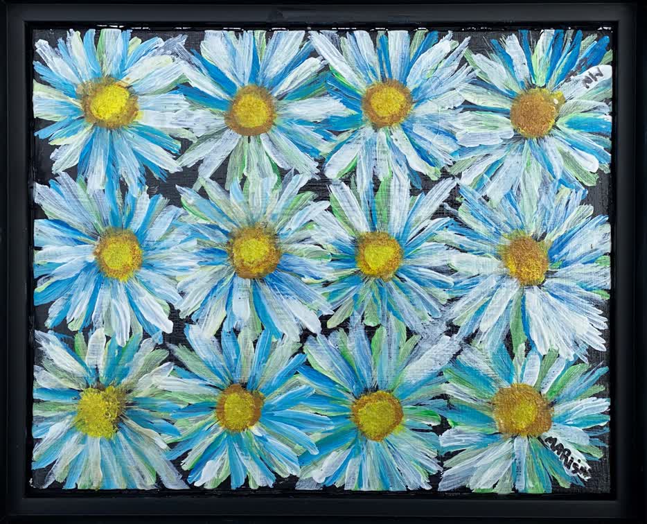 12  Blueish White  Daisies on Black Background