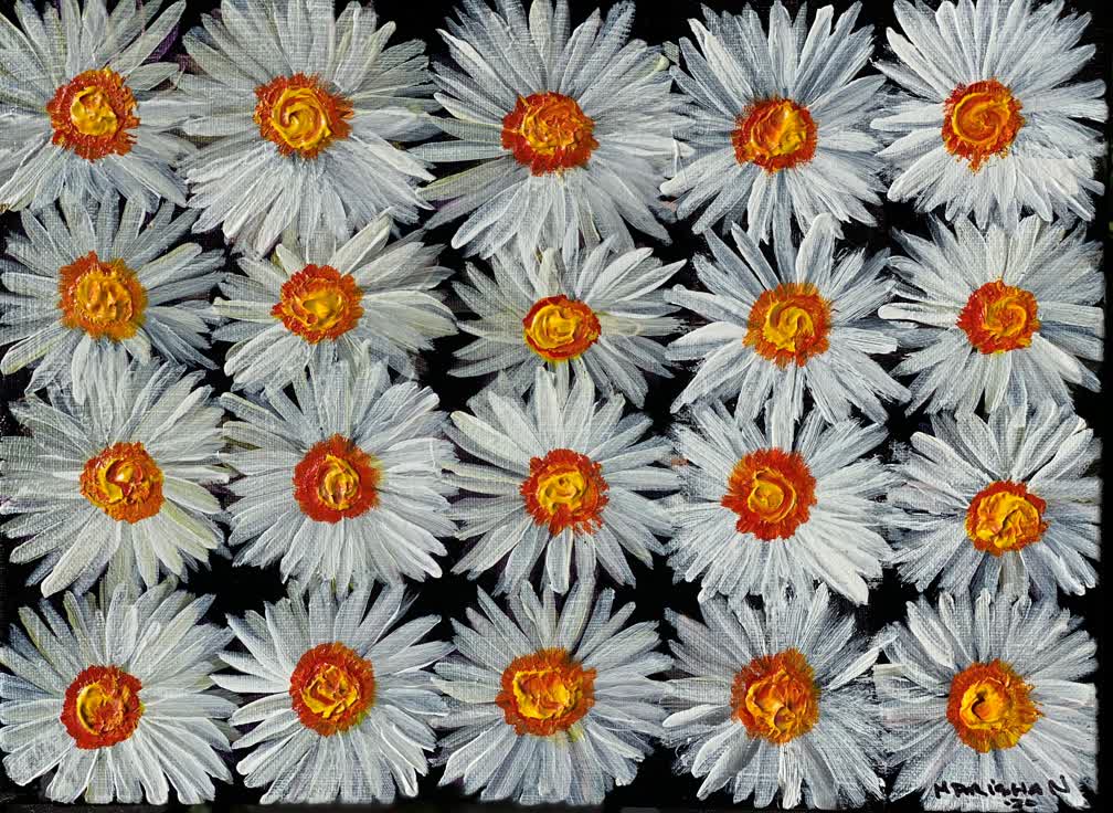 20 White Daisies on Black Background #1