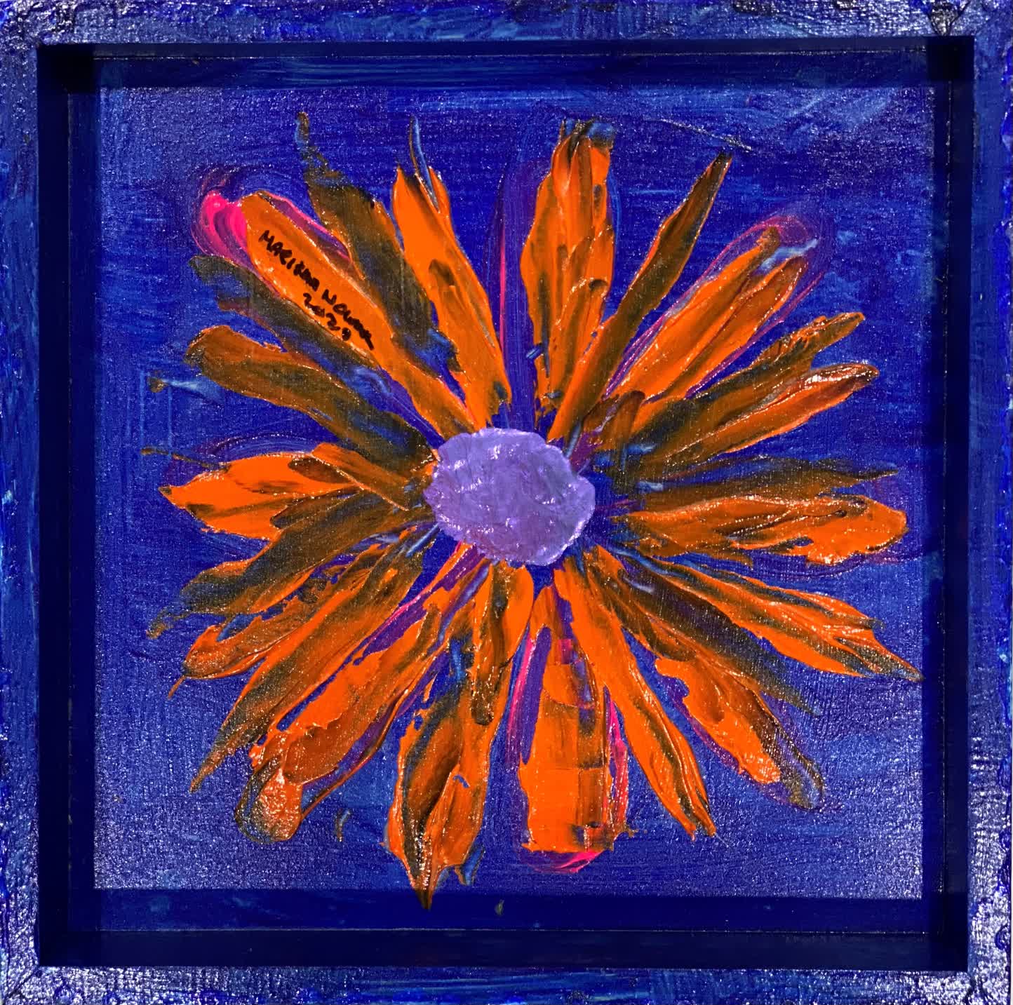 Orange-Pink Daisies on blue background