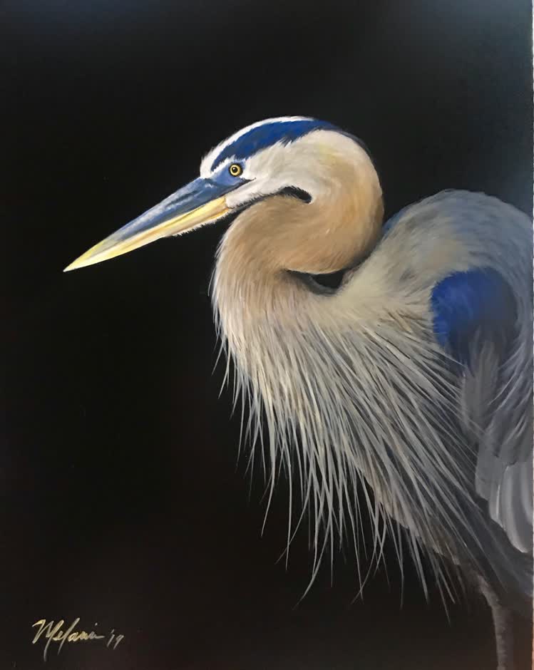 Blue Heron