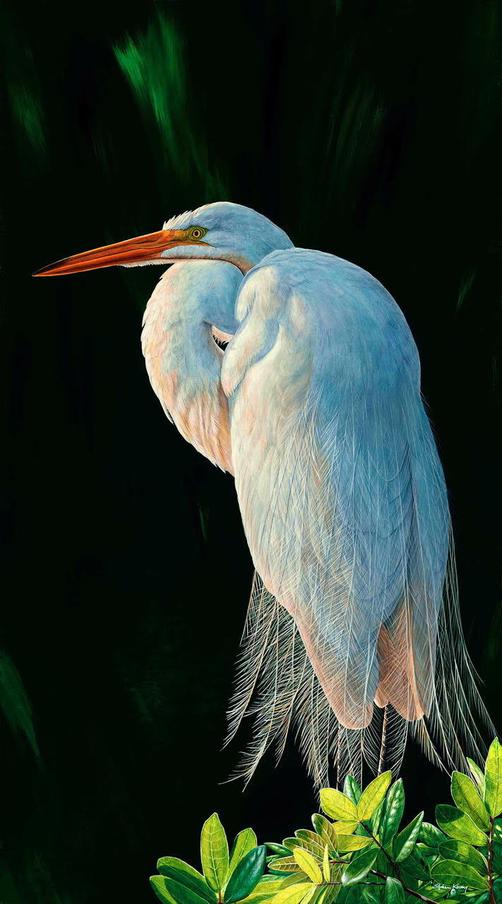 Great Light Great Egret I